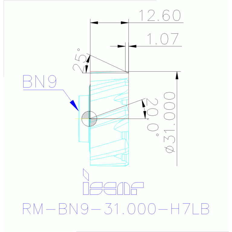 RM-BN9-31.000-H7LB IC908