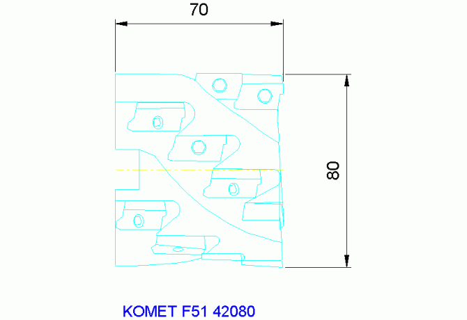 F51 42080
