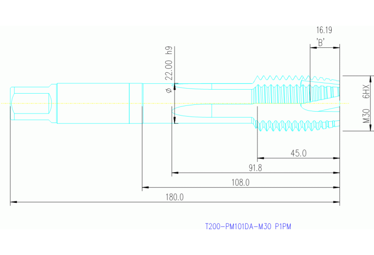 T200-PM101DA-M30 P1PM