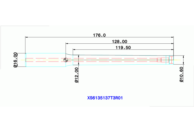 XS6135137T3R01