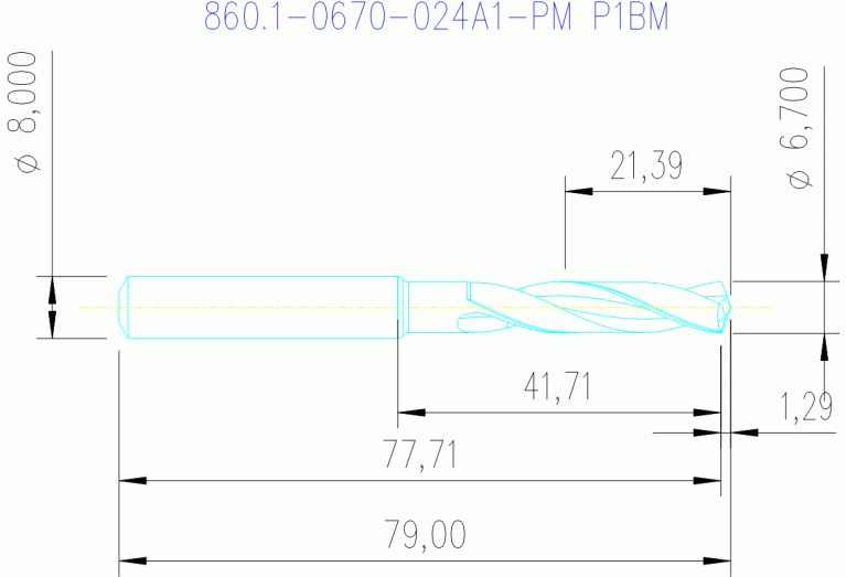 860.1-0670-024A1-PM P1BM