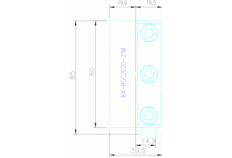 BA-RGC2020-21M