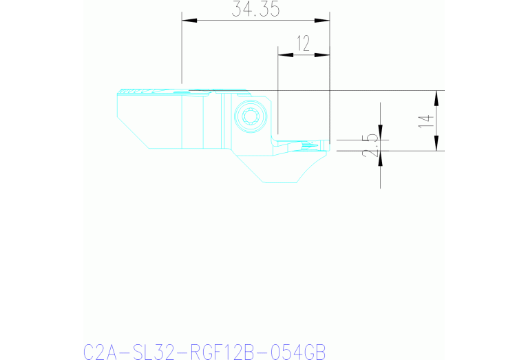 C2A-SL32-RGF12B-054GB
