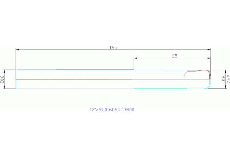 12V9U016065T3R00