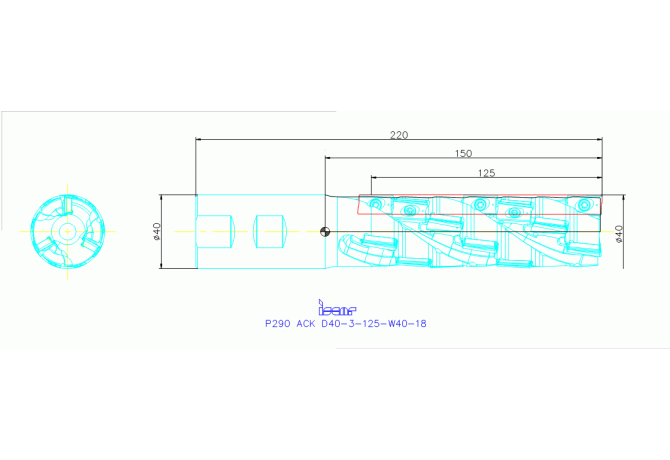 P290 ACK D40-3-125-W40-18