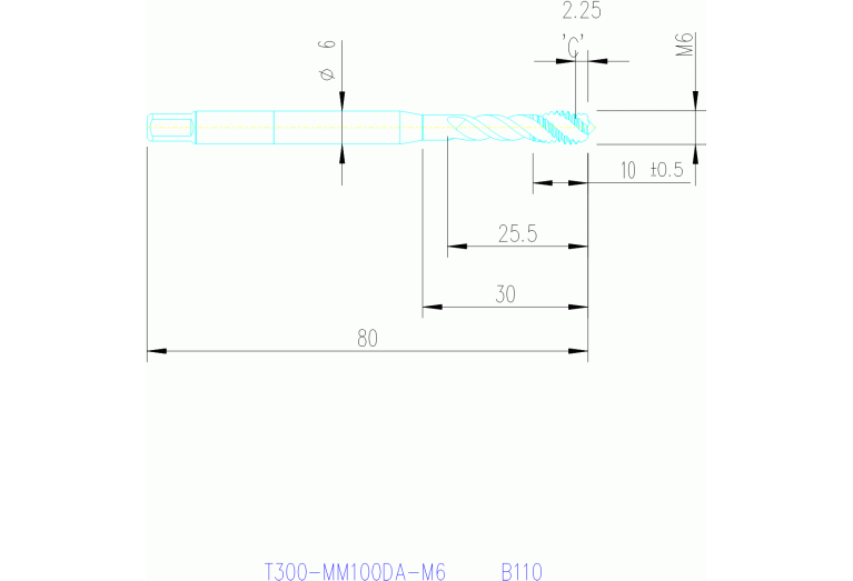 T300-MM100DA-M6 B110