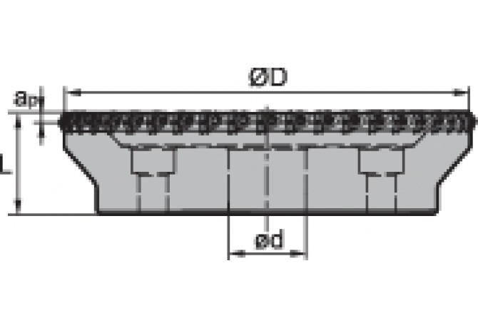 FMD02-250-C60-HN09-36L