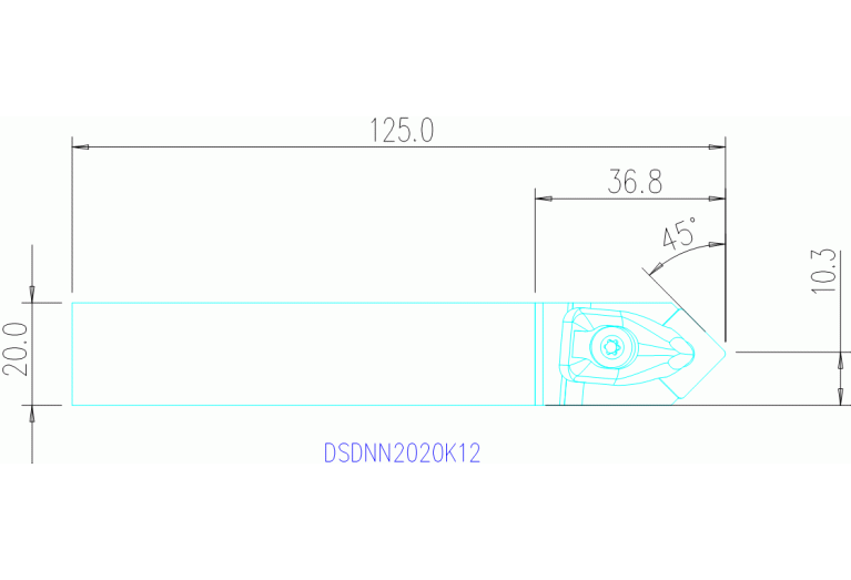 DSDNN2020K12