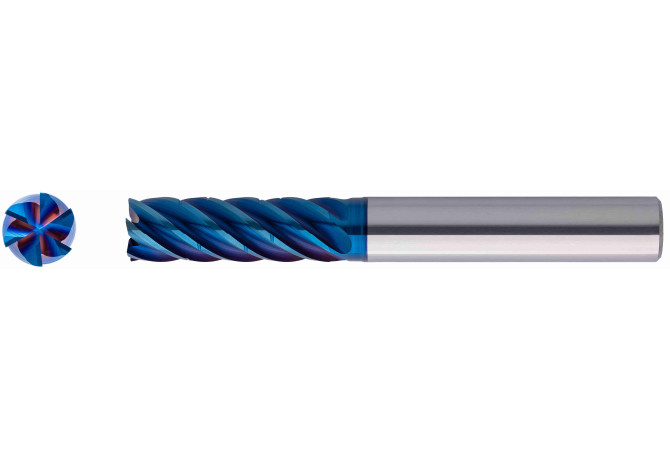EXM1-M03-0113-8