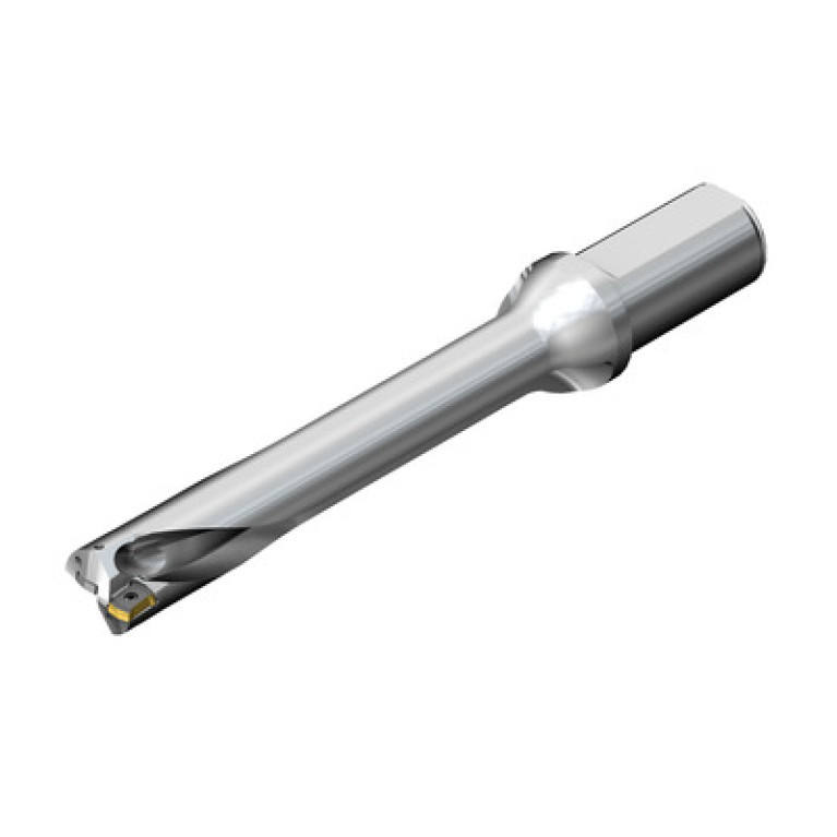 DS20-D4200L50-06