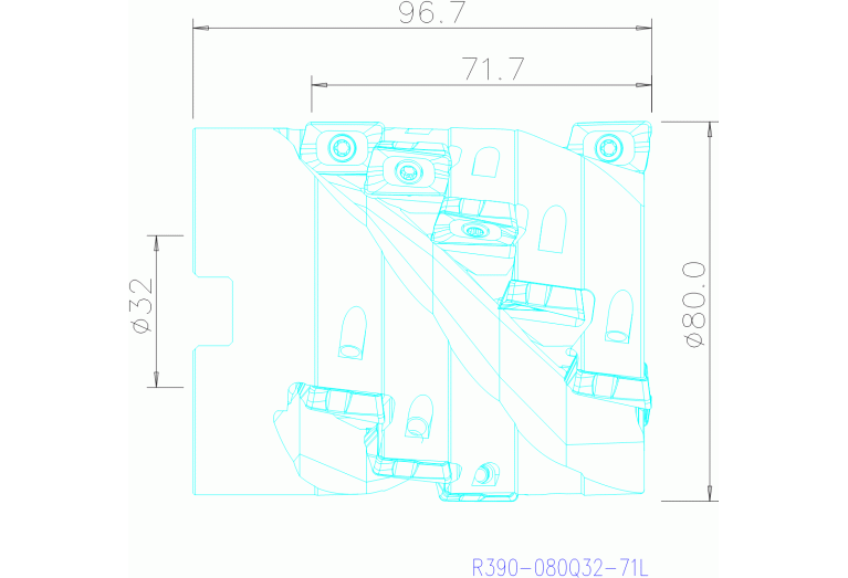 R390-080Q32-71L