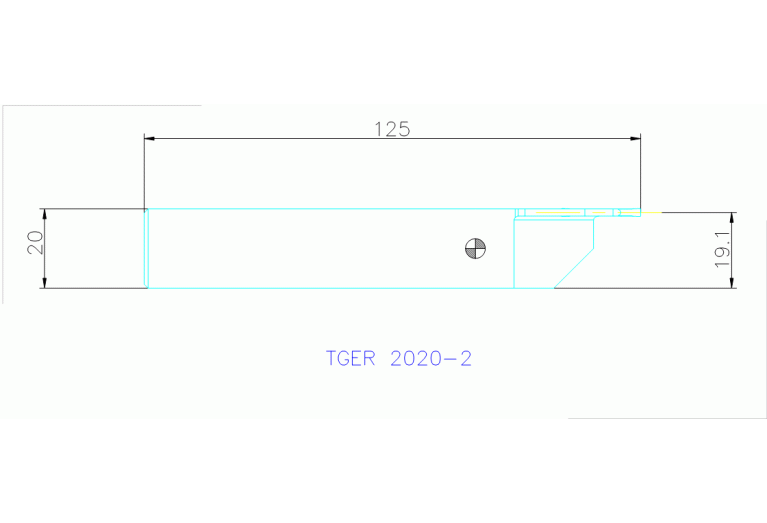 TGER 2020-2