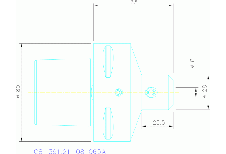 C8-391.21-08 065A