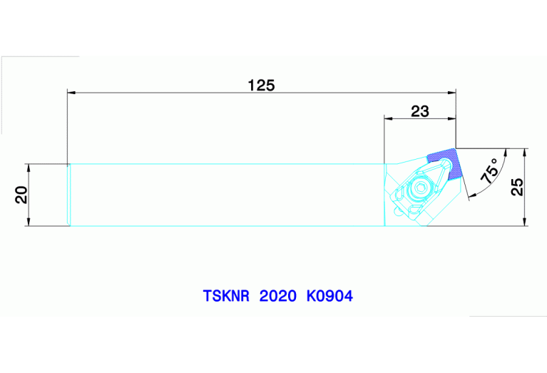 TSKNR 2020 K0904