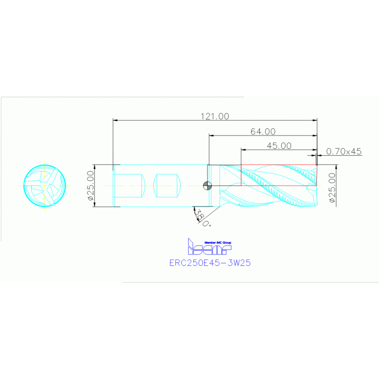 ERC250E45-3W25 IC300