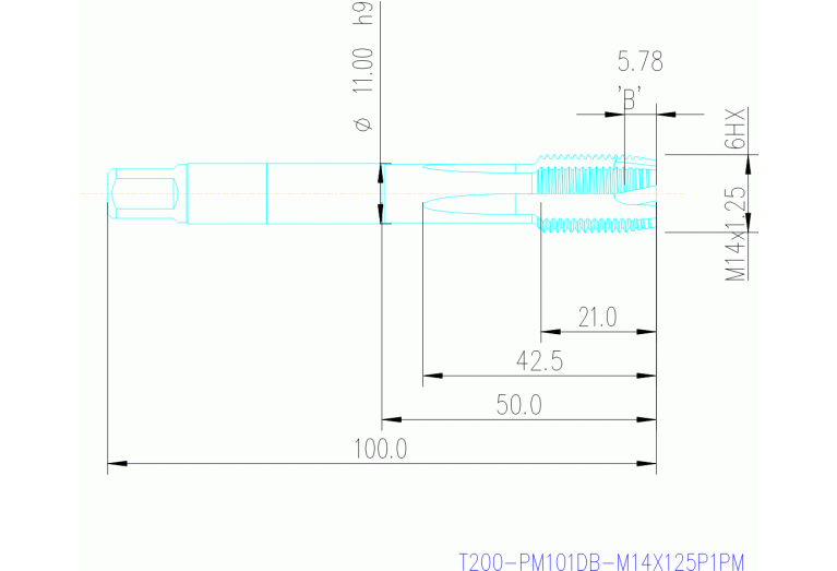 T200-PM101DB-M14X125P1PM