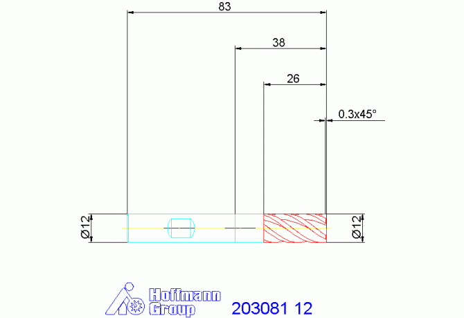 203081 12