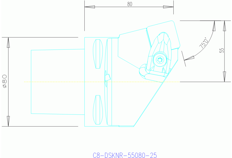 C8-DSKNR-55080-25