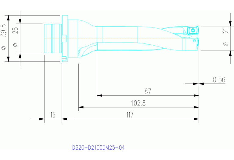 DS20-D2100DM25-04