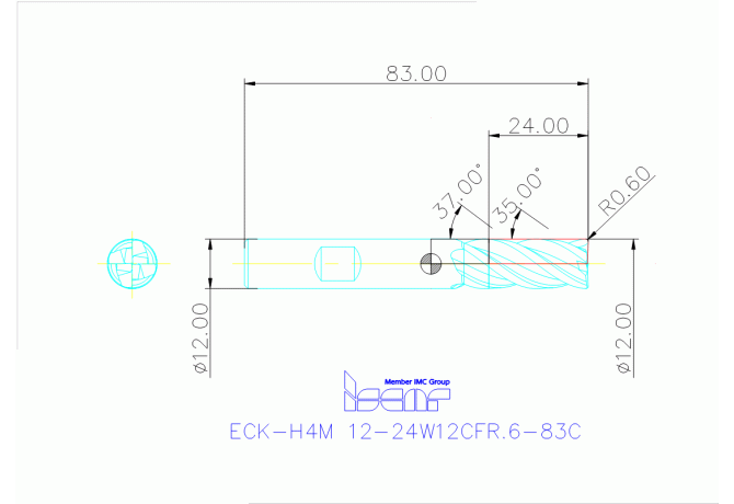 ECK-H4M 12-24W12CFR.6-83C IC300