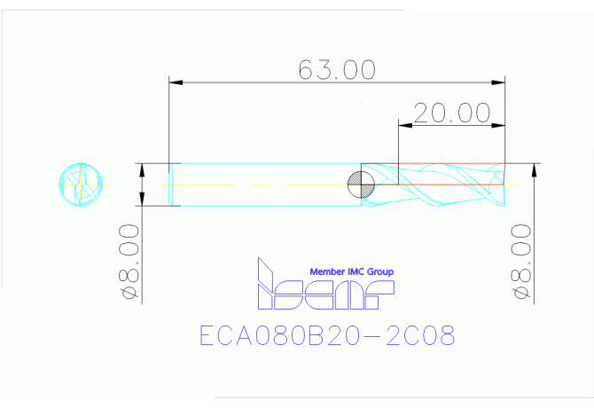 ECA080B20-2C08 IC08