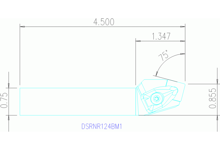DSRNR124BM1