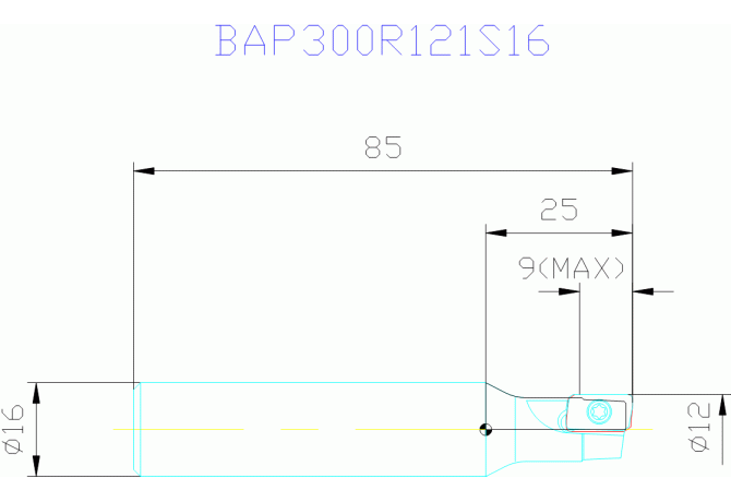 BAP300R121S16