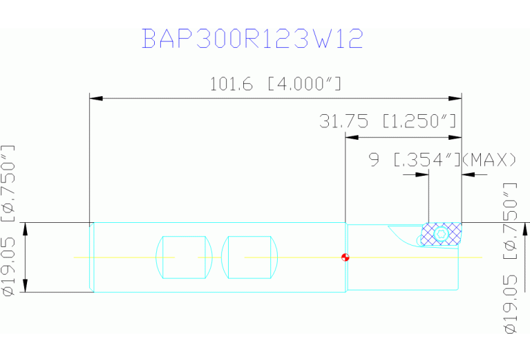 BAP300R123W12