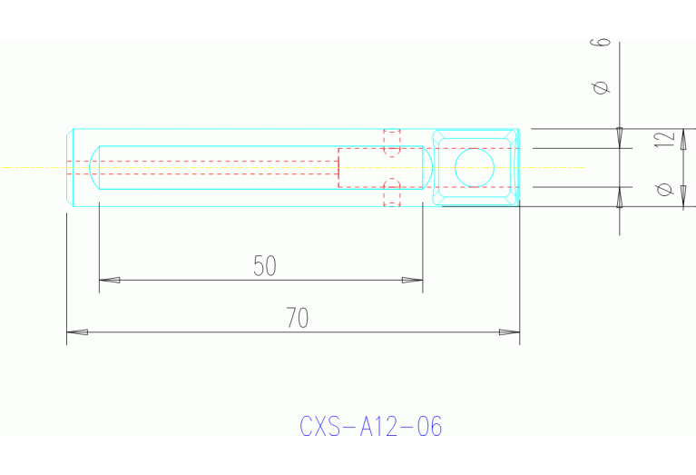 CXS-A12-06