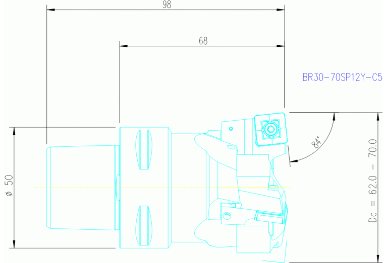 BR30-70SP12Y-C5
