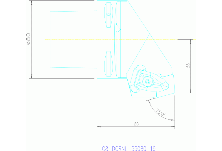 C8-DCRNL-55080-19