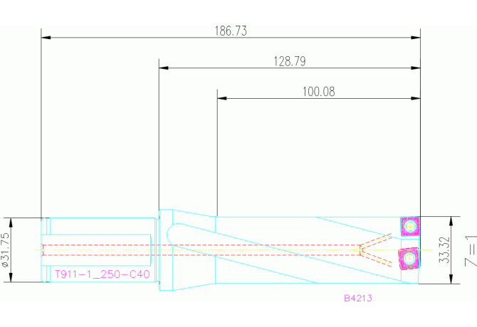 B4213.UF31.333.Z1.100R-5