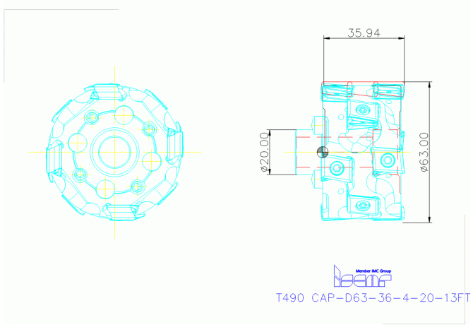 T490 CAP-D63-36-4-20-13FT