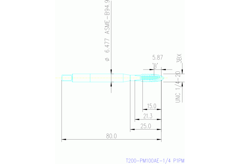 T200-PM100AE-1/4 P1PM