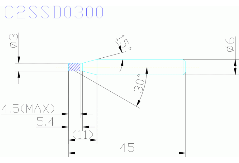 C2SSD0300