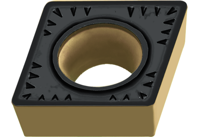 CCMT09T304-PM5 WPP10