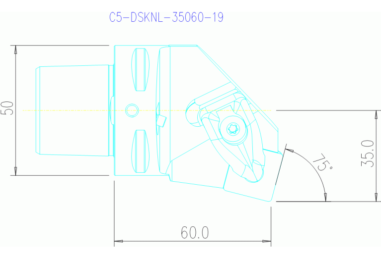 C5-DSKNL-35060-19