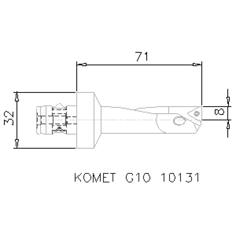 G10 10131