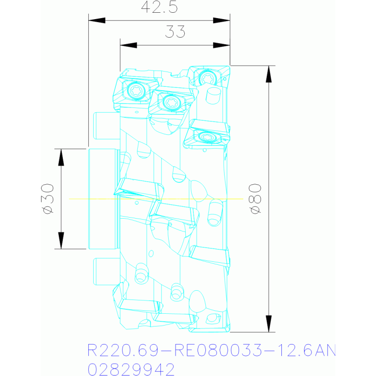 R220.69-RE080033-12.6AN