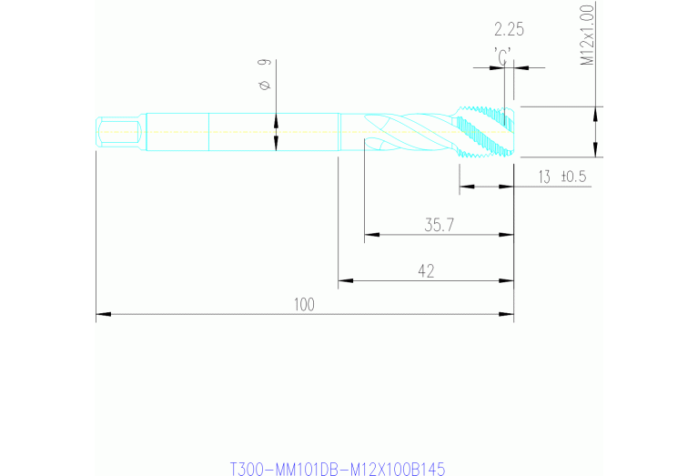 T300-MM101DB-M12X100B145