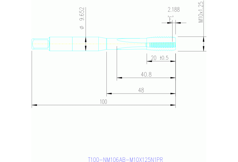 T100-NM106AB-M10X125N1PR
