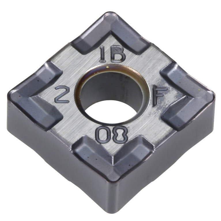 251154 SP0819