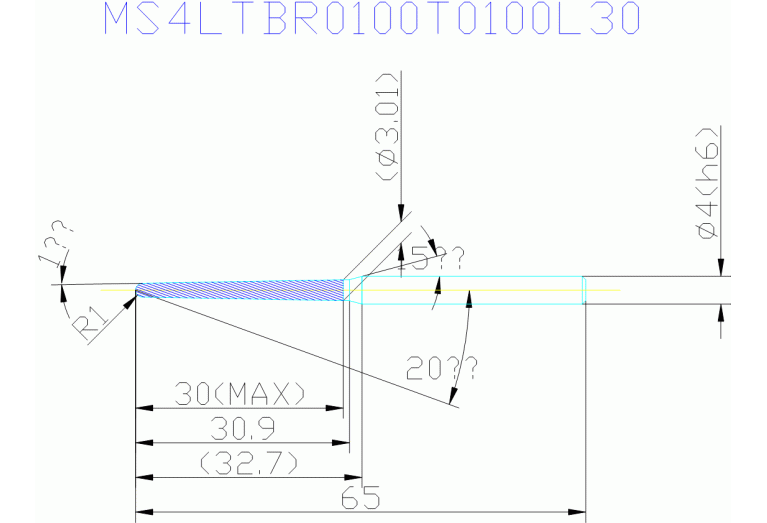 MS4LTBR0100T0100L30
