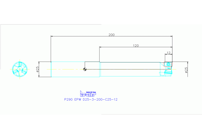 P290 EPW D25-3-200-C25-12