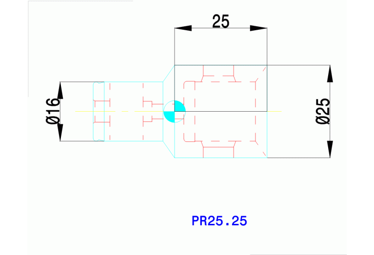 PR25.25