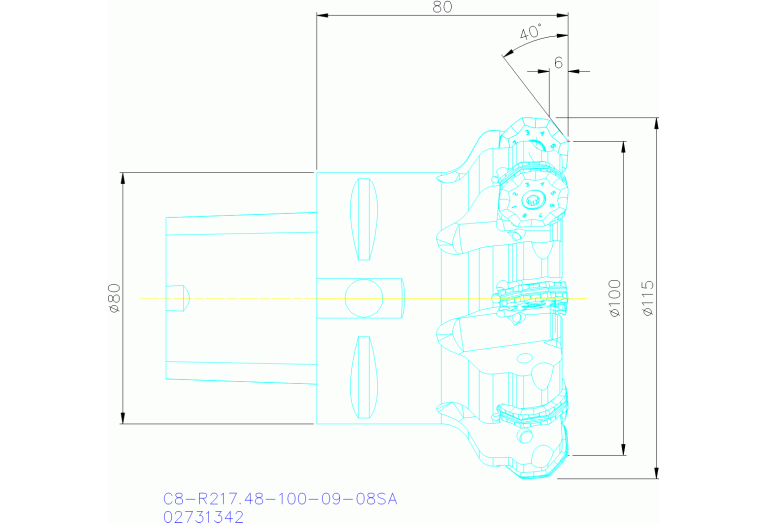 C8-R217.48-100-09-08SA