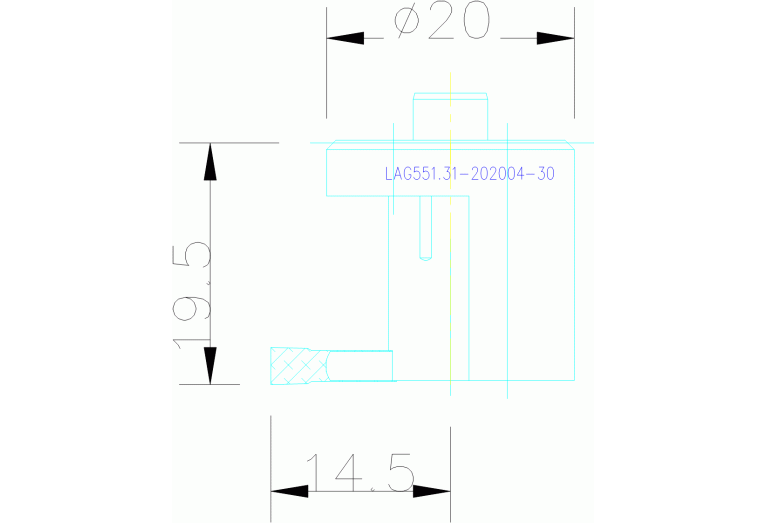 LAG551.31-202004-30