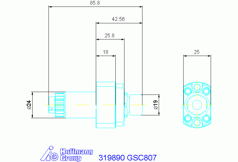 319890 GSC807