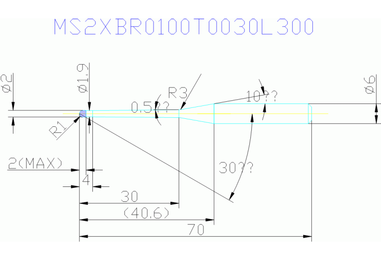 MS2XBR0100T0030L300