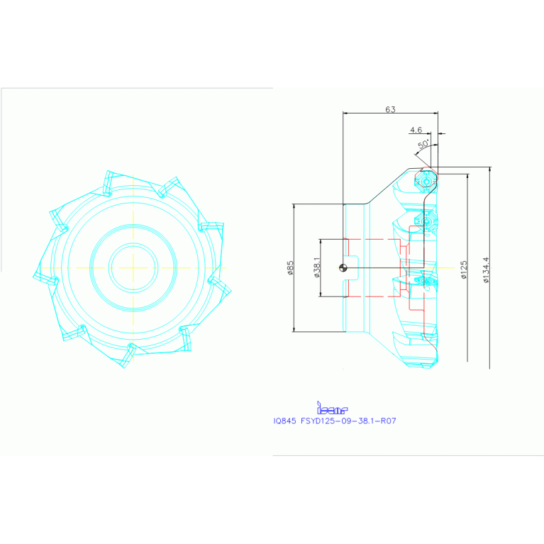 IQ845 FSYD125-09-38.1-R07